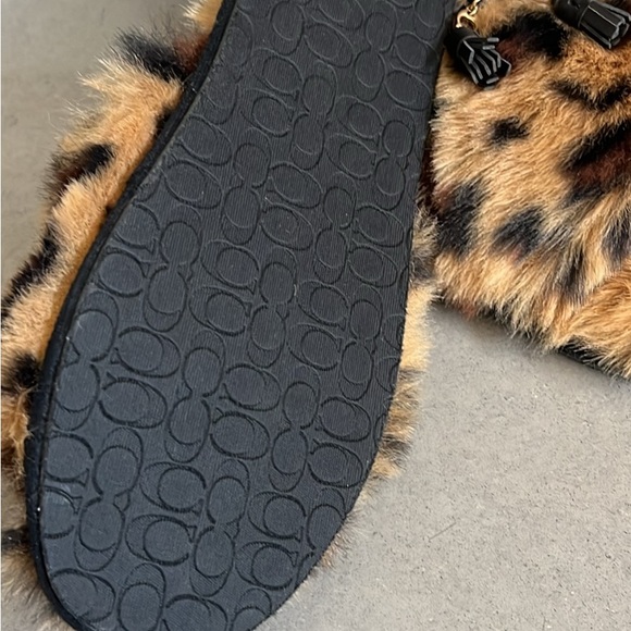 Coach - Picture 5 of 5